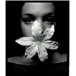 blossom01.jpg
Poet zobrazen: 2384 (6535.0582 dn) pr.=0.3648
Rozmr: 343 x 402 pixel
Velikost: 38.21 kB
