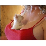 prsa.jpg
Poet zobrazen: 3950 (6550.0715 dn) pr.=0.6030
Rozmr: 571 x 444 pixel
Velikost: 114.772 kB