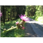 m144_4466.jpg
Poet zobrazen: 3389 (6547.1959 dn) pr.=0.5176
Rozmr: 1600 x 1200 pixel
Velikost: 414.456 kB