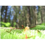 m144_4500.jpg
Poet zobrazen: 3628 (6547.3393 dn) pr.=0.5541
Rozmr: 1600 x 1200 pixel
Velikost: 382.149 kB