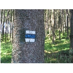 m145_4512.jpg
Poet zobrazen: 3730 (6547.1959 dn) pr.=0.5697
Rozmr: 1600 x 1200 pixel
Velikost: 679.248 kB