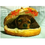 hotdog.jpg
Poet zobrazen: 3684 (6545.6891 dn) pr.=0.5628
Rozmr: 550 x 403 pixel
Velikost: 24.509 kB
