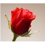 if-04257.jpg
Poet zobrazen: 3329 (6549.5069 dn) pr.=0.5083
Rozmr: 350 x 300 pixel
Velikost: 14.471 kB