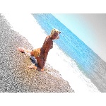 d11.jpg
Po�et zobrazen�: 1430 (5707.8159 dn�) pr.=0.2505
Rozm�r: 600 x 450 pixel
Velikost: 191.148 kB