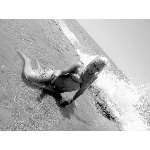 d5.jpg
Po�et zobrazen�: 1349 (5707.8162 dn�) pr.=0.2363
Rozm�r: 600 x 450 pixel
Velikost: 142.136 kB