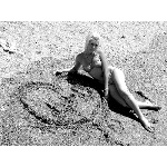 d6.jpg
Po�et zobrazen�: 1334 (5707.8161 dn�) pr.=0.2337
Rozm�r: 600 x 450 pixel
Velikost: 296.699 kB